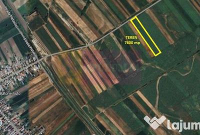 Teren de 7600 mp, în Cosoba