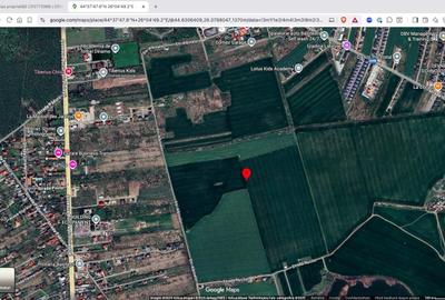 Teren extravilan 18.200 mp Saftica Balotesti - 2