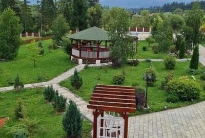 Domeniu situat la poalele Calimanilor - 13