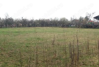 Casa ?i anexe, Cermei central, 2 curti, Front stradal 50 ML, 2880 mp - 1