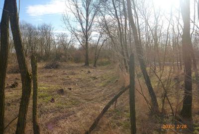 Teren de 1771 mp, în Exterior Vest - 4