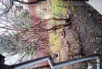 Vand Casa in Campina - 5