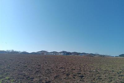 Teren Construcții intravilan de 83000 mp, în Vorovești - 3