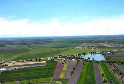 Teren intravilan 2.500 mp in Boghis | Ideal pentru casa sau pensiune | langa balta de pescuit - 4