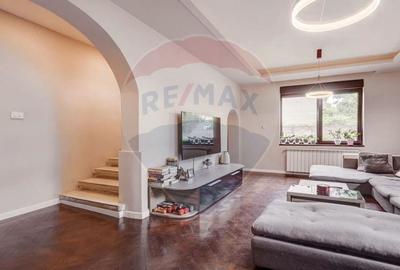 Vila deosebita in cartierul Primaverii - 2