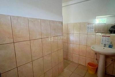 Tatarasi - spatiu comercial - restaurant complet echipat, 150mp + 300mp terasa - 13