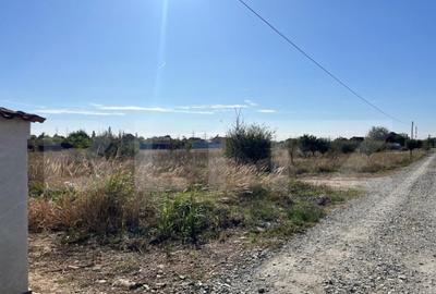 Teren 500 mp, in Albesti - 2