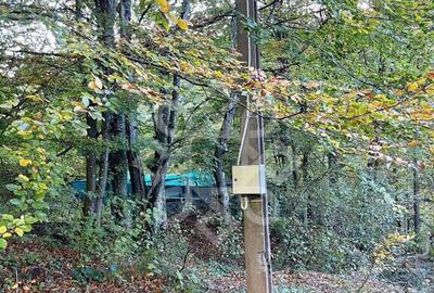 Teren pentru casa de vacanta pe Valea Bratcutei, Bihor - 7