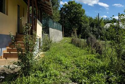 Vand casa+teren 5300 mp Breaza de Sus Nistoresti Prahova - 3