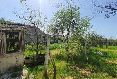 Casă cu 4 camere în Sânpetru Mare - 4