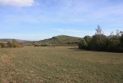 Spațiu comercial, în Drumul Carului - 4