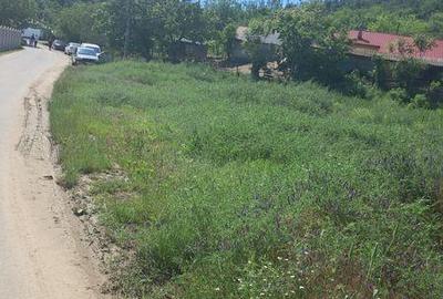 Casă cu 3 camere cu Teren 2000 Mp în Hotarele - 7