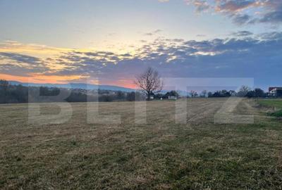 Teren de 27759 mp, în Central - 10