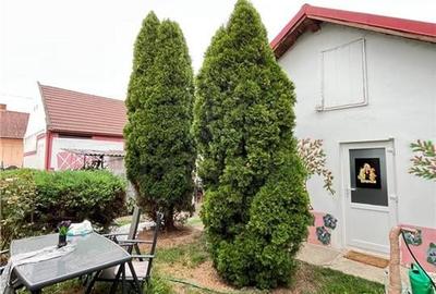 Ronat - Casa Individuala - Teren 900mp - Toate utilitatile Ronat - Casa Individuala - Teren 900mp - Toate utilitatile - 20