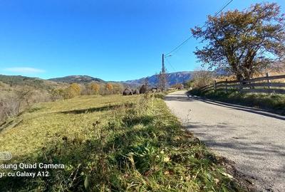 Teren intravilan la munte  Valea Ariesului comuna Salciua jud Alba - 4