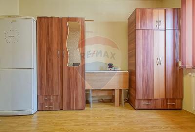 Apartament cu 1 camere nedecomandat, mobilat în Hărmanului - 3