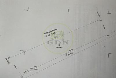 Teren Construcții intravilan de 2500 mp, în Malu Mare - 1