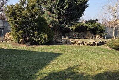 Casă cu 4 camere cu Teren 350 Mp în Micălaca - 6