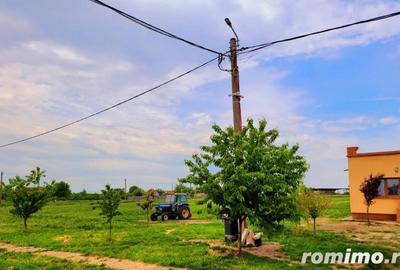 Domeniu, 9,5 ha, 25 KM de Timisoara - 14
