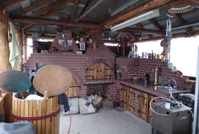 Casă cu 4 camere în Basarabi - 5