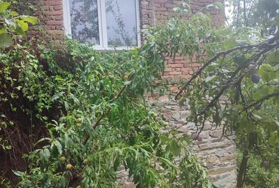 Casa de vanzare comuna Brusturi judet Arad - 2