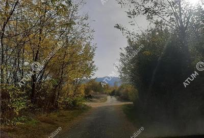 Teren intravilan de vanzare in Avrig zona Valea Avrigului - 3