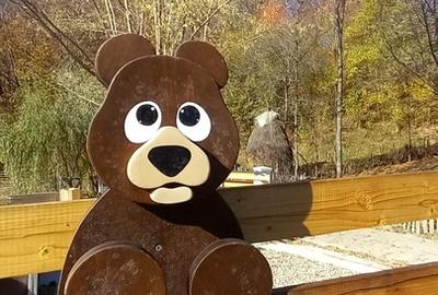 Campina, Plaiu Campinei - 15