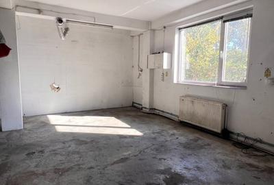 Imobil Domenii-Parcul Copilului, cu  destinatie Rezidential cat si Comercial Imobil Domenii-Parcul Copilului, cu  destinatie Rezidential cat si Comercial - 5