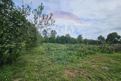 Casă cu Teren 4484 Mp în Fădimac - 3