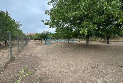 Vanzare vila lipanesti - 6