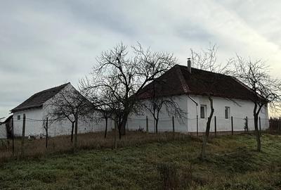 Casa de vanzare in Firiteaz, 24 km de Arad, 2787 metri patra?i. - 7