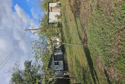 Vand casa batranesca in Ro?iori de Vede - 2