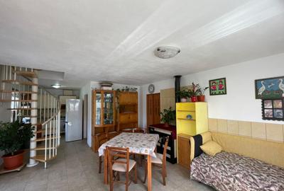 Casa P+M situata in localitatea Dragutesti - zona Abator - 7