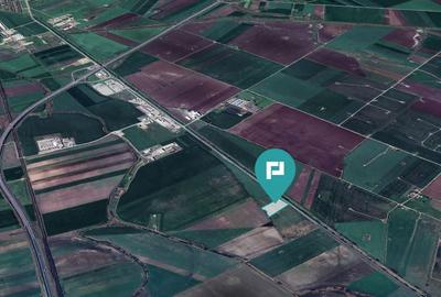 Teren 22.500 mp–Pecica, jud. Arad,Posibilitate PUZ - 13