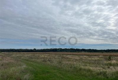 Teren de 500 mp, în Cihei