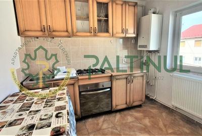 Apartament la mansarda, zona Stefan cel Mare - 7