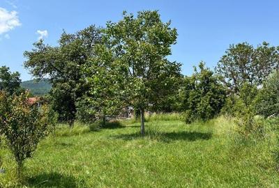 Casă cu 3 camere în Central - 1