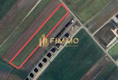 Teren intravilan | 5000 mp | Campus Moara | ID:1465 - 1