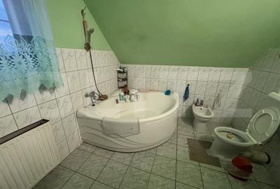 Casa de vanzare in Cionchesti , comuna Viile Satu Mare - 8