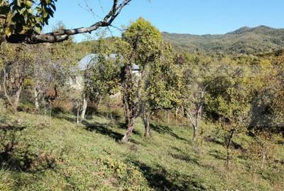 Teren de 2406 mp, în Central - 14