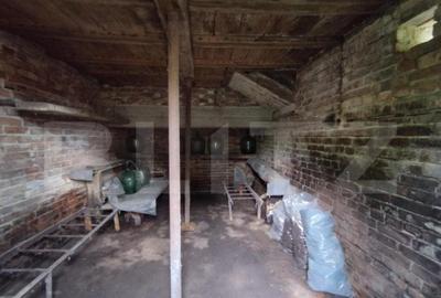 Casa individuala cu crama, teren 6700mp, Plopu - 4