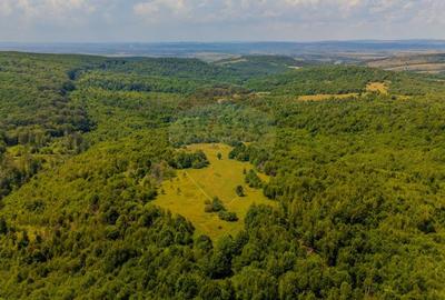COMISION 0% Teren Grid/Inima Naturii/ Oportunitate de investitie - 10