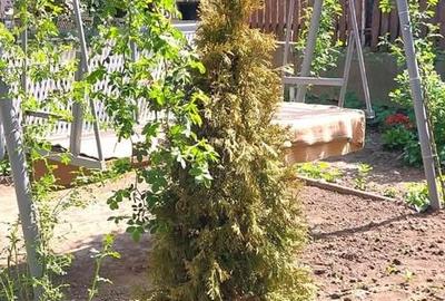 Casă cu 4 camere cu Teren 720 Mp în Central - 3