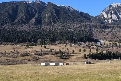 Spațiu comercial, în Plaiul Foii - 5