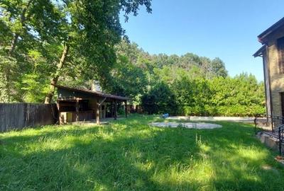 Vanzare - Vila individuala | 5 camere | Piscina | Padure | Corbeanca Vanzare - Vila individuala | 5 camere | Piscina | Padure | Corbeanca - 8