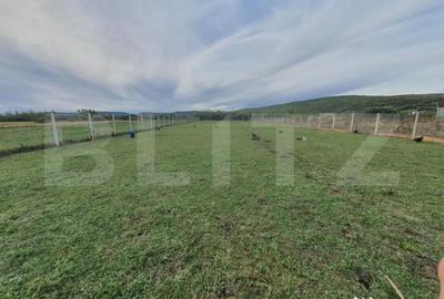 Casă cu 4 camere cu Teren 1500 Mp în Central - 1