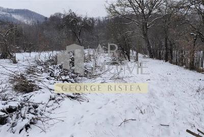 Casă cu Teren 3300 Mp în Poiana - 3