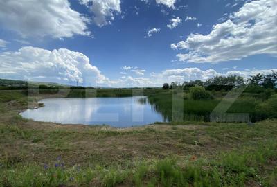 Teren extravilan 10000 mp, cu balta de peste, Salaj, Sarmasa - 6