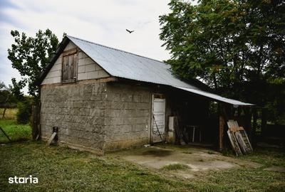 Casă cu Teren 3596 Mp în Pișchia - 1