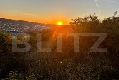 Teren intravilan in Zona Sarmas in suprafata de 1500 mp - 3